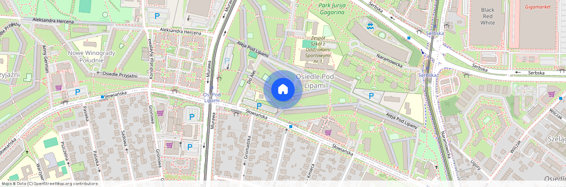 os. Pod Lipami, Winogrady, Stare Miasto, Poznań, wielkopolskie