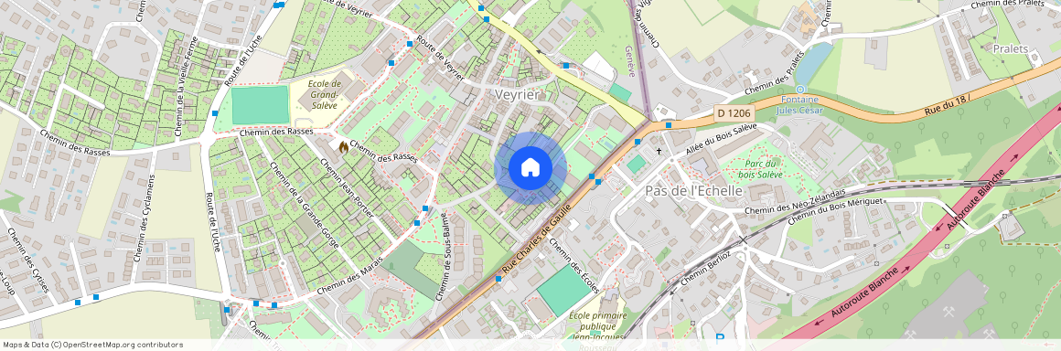 1255, Veyrier, Chemin Jules-Edouard-Gottret, 25