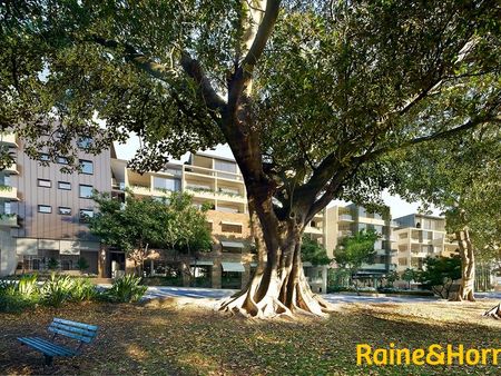 Stunning Sunny, Leafy Apartment - Photo 4