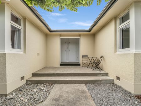 What A Find! - Photo 2