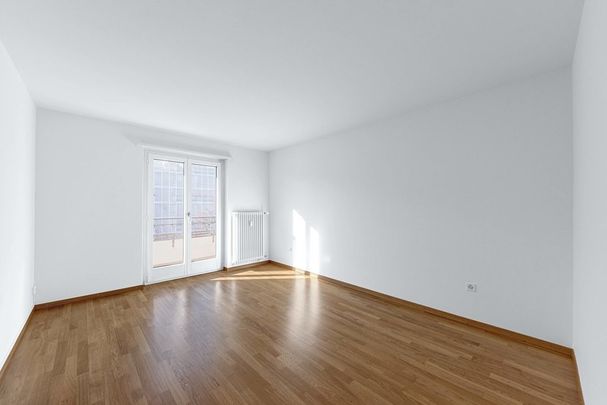 Helle und moderne Wohnung in der Nähe vom Dreiländereck - Foto 1