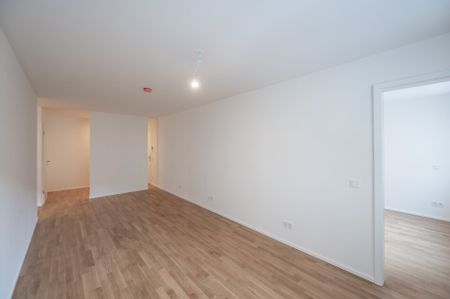 ++MOLLARD 50++ Unique 3-room apartment in the city center (1/12) - Foto 3