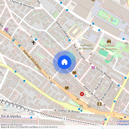 Avenue de France 38, 1004 Lausanne