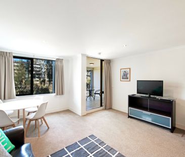 Furnished One Bedroom Apartment - Photo 2