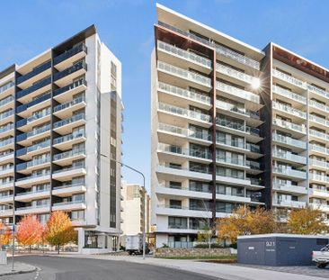 252/7 Irving Street Phillip ACT - Photo 2