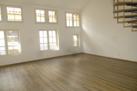 Location Appartement 3 pièces 126m² LE PUY EN VELAY 43000 - Photo 3