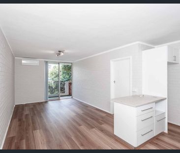 Freshly updated, in Vibrant Victoria Park - Photo 5