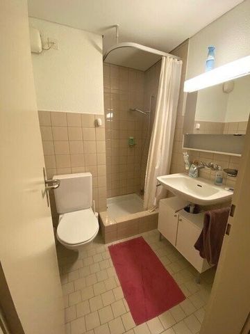 furnished apartment near Kantonsspital - Photo 4