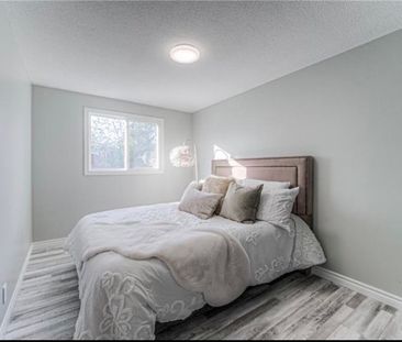For Lease - 238 B Northlake Drive, Waterloo, Ontario - Photo 5