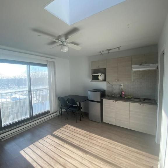 1 1/2 - Montréal (La Petite-Patrie) - 950 $/mois - Photo 1