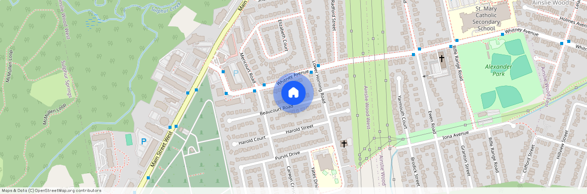 20 Beaucourt Road Unit# basement-1BR, Hamilton