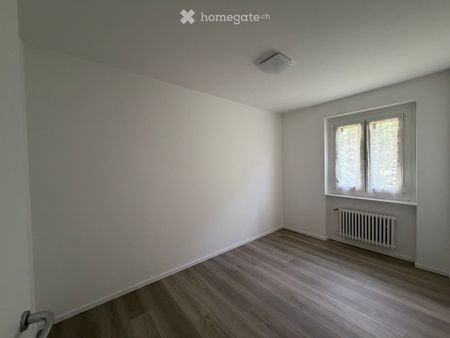 Cerco subentrante per 3.5 appena ristrutturato - Photo 3