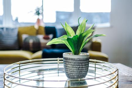 Strawberry Dale - Photo 5