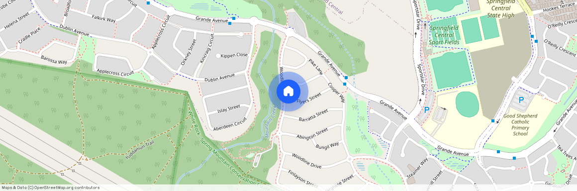 203 Woodline Drive, Qld 4300, Spring Mountain