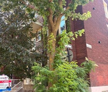 Appartement à louer - Montréal (Le Plateau-Mont-Royal) (Le Plateau-... - Photo 2