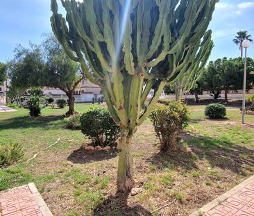 Apartment for Long Term Rent in Playa Flamenca - Photo 5