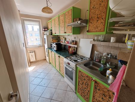 Opole, Bliskie Zaodrze - Zdjęcie 5