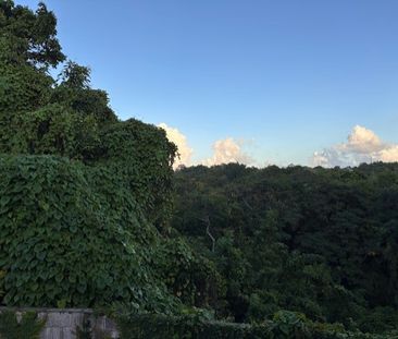 Les Abymes, (97139) - Photo 4