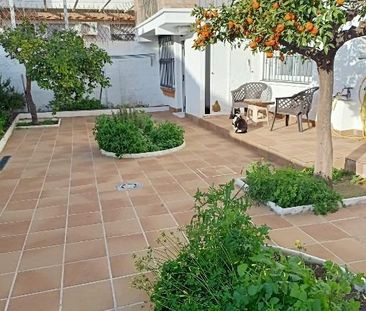 Apartment - Málaga (Puerto de la Torre) - Photo 1