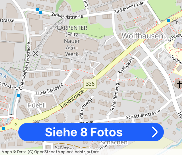 2.5 Zimmer, 58 m², 2. Stock - Foto 1