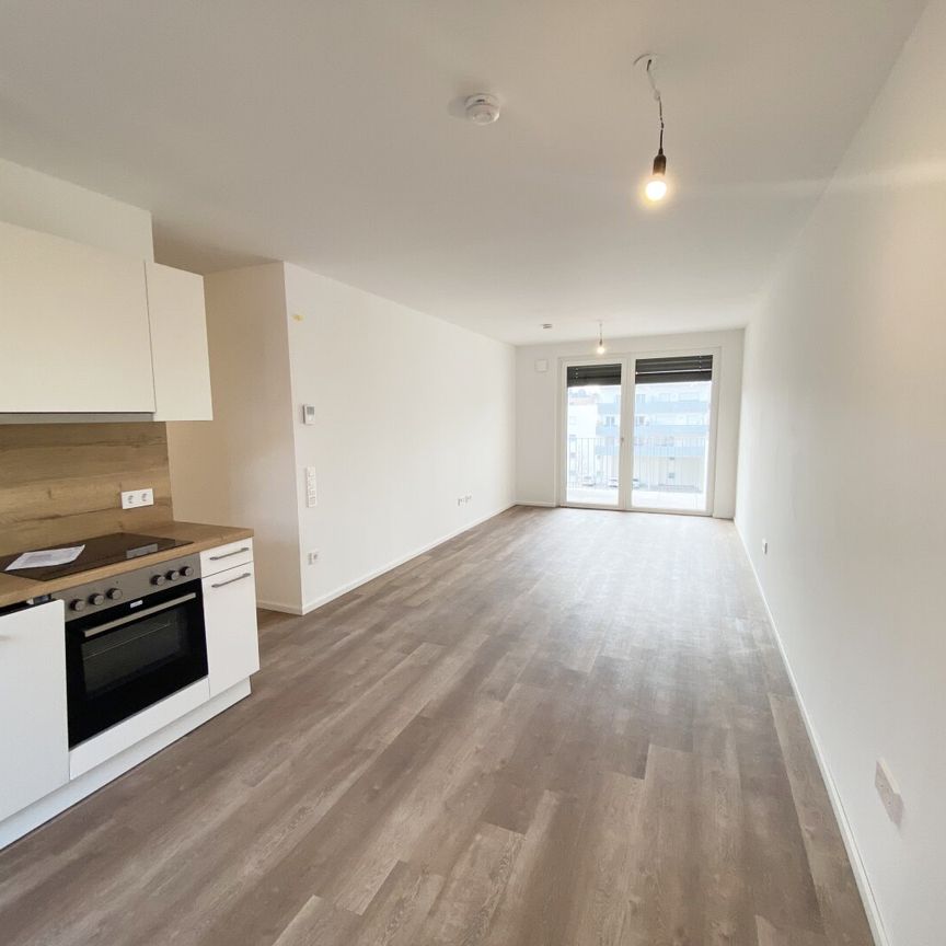 Ihr Wohnglück wartet: Mietwohnungen im Tullnerfeld - Foto 1