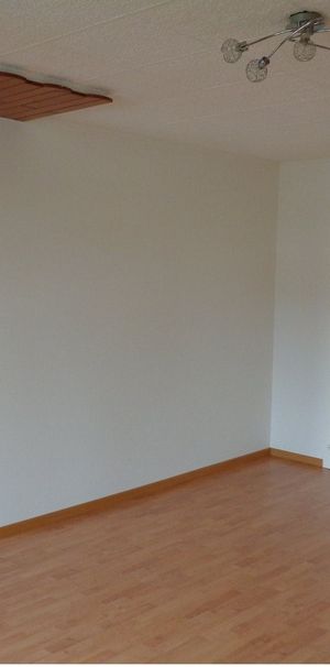 3.5 Zimmerwohnung in Plaffeien ! - Photo 1