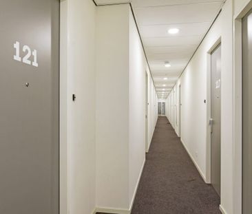 Wij Boreel - Photo 6