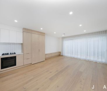 Brand New Luxury Living - Photo 3