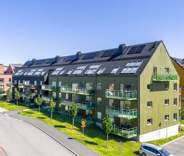 Vimbroplan 18 - Foto 1