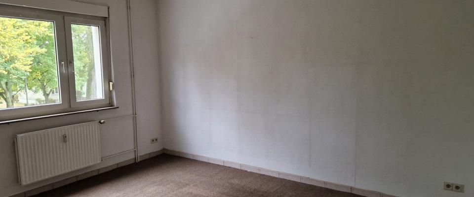 63qm; 3 Zimmer; 1. OG; sofort frei - Photo 1