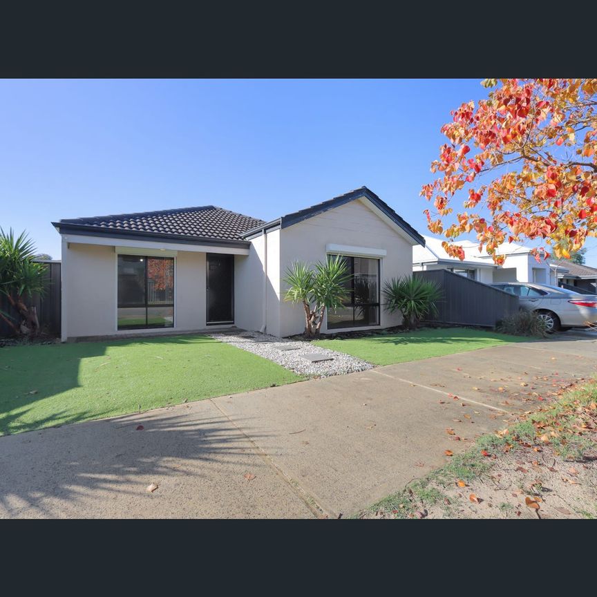 12 Rosegum Pass, Baldivis, WA 6171 - Photo 1