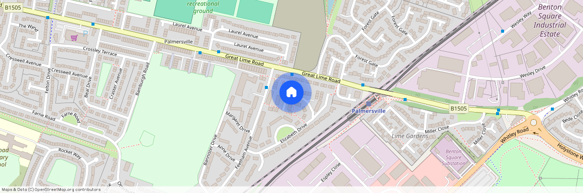 Elizabeth Court, Palmersville, Newcastle upon Tyne, Tyne and Wear, NE12 9QW