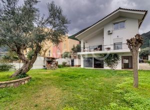 Μονοκατοικία για ενοικίαση - Ρίο, - Photo 1