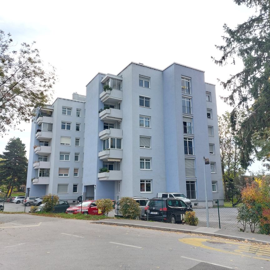 ANDRITZ - NAHE FACHMARKTZENTRUM: HELLE GEPFLEGTE FREUNDLICHE GARCONNIERE INKL. PP UM € 370,--+BK+HZG - Photo 1