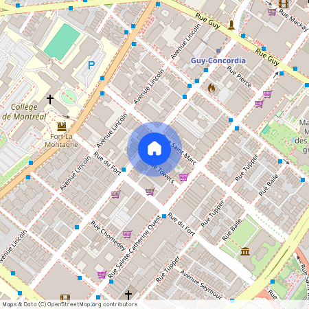 1455, Rue Towers, app. 204, Montréal (Ville-Marie)