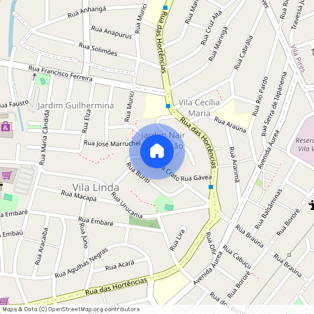 Rua Buriti, Vila Linda, Santo André, SP, 09175660