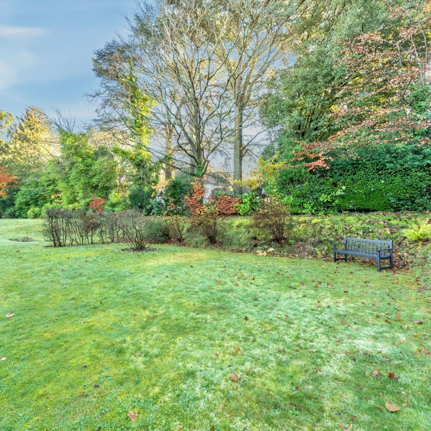 3 bedroom apartment to rent - Photo 1