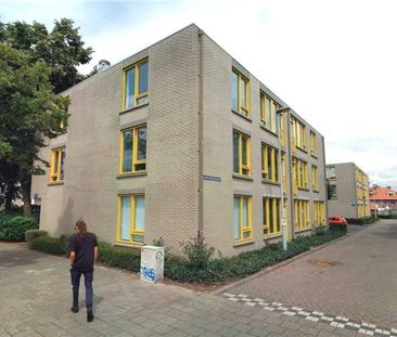 Studio Constant Nefkensstraat, Eindhoven - For Rent - Foto 1