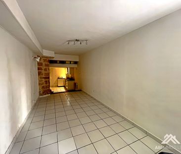 Location Appartement 1 pièce 45m² MONTPELLIER 34000 - Photo 4