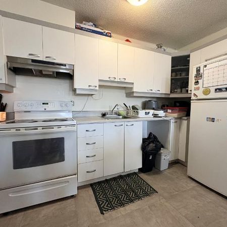 Appartement 3 ½ à louer Sainte-Foy / Sillery mai 2026 - Photo 3