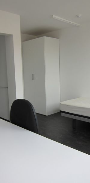 Neder Mosscher 19 - Foto 1