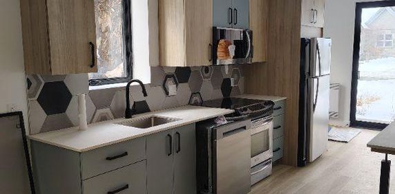 Loft tout neuf à magog - Photo 2