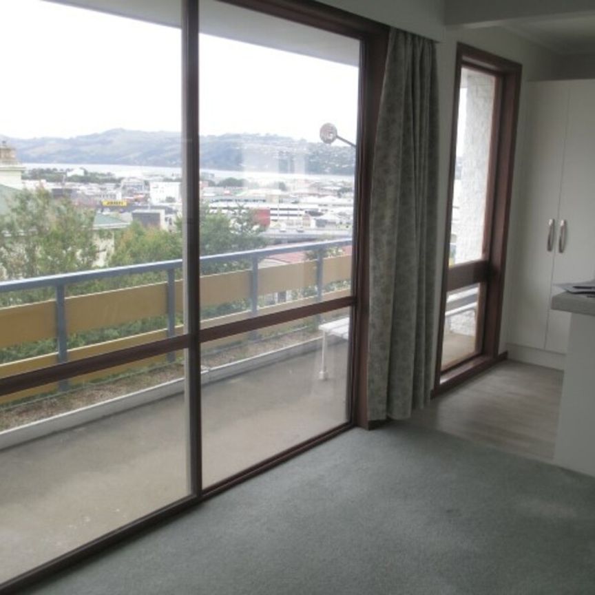 78B London Street, Dunedin Central, Dunedin City - Photo 1