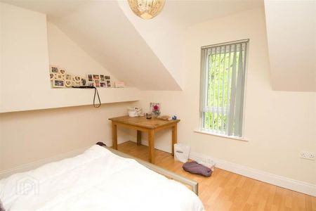 71 University Avenue, Belfast, BT7 1GX - Photo 2