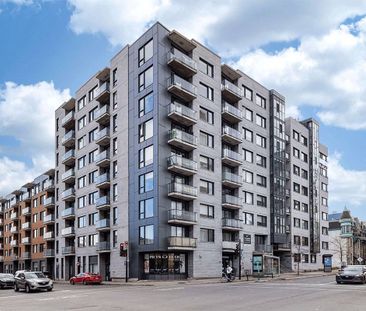 2 Bedroom Available At 1050 Bd René-Lévesque E, Montréal - 1050 Bd ... - Photo 2