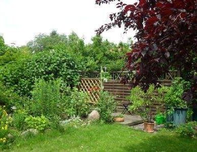 Sonnige Wohnung mit Wintergarten, Hobbyraum, Terrasse, Gartennutzung und Stellplatz - Photo 1