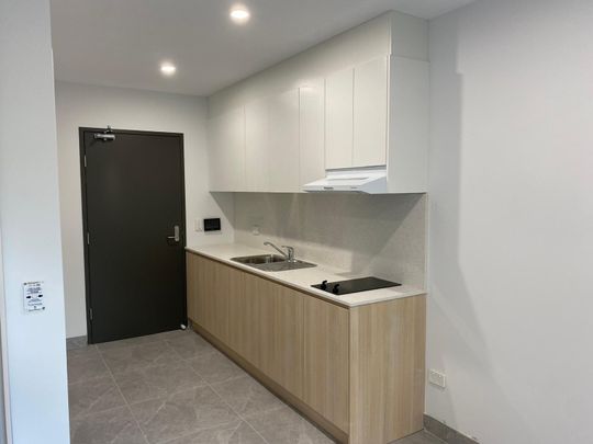 81 Palace Street, Petersham, NSW 2049 - Photo 1