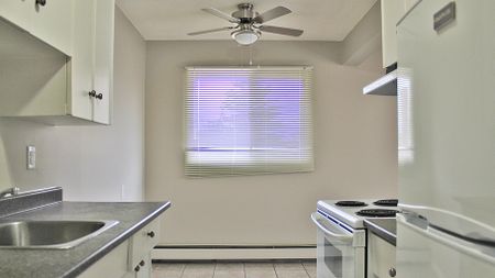 Camelia Court Apartments - Photo 4