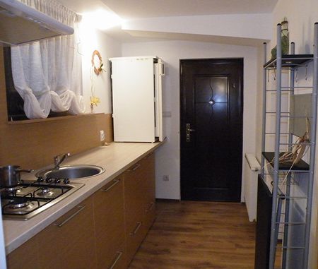 Apartment 2 rooms for rent Copou Iasi - Photo 4