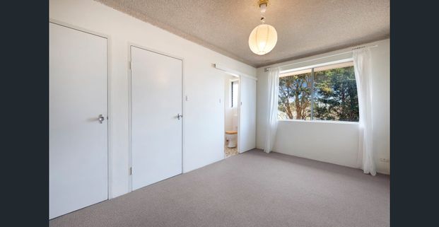 Bright, Updated & Convenient One-Bedroom Apartment - Photo 1